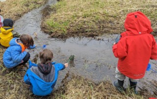 Children using dipnets to survey stream