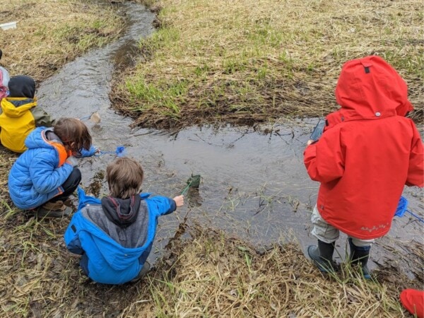 Children using dipnets to survey stream