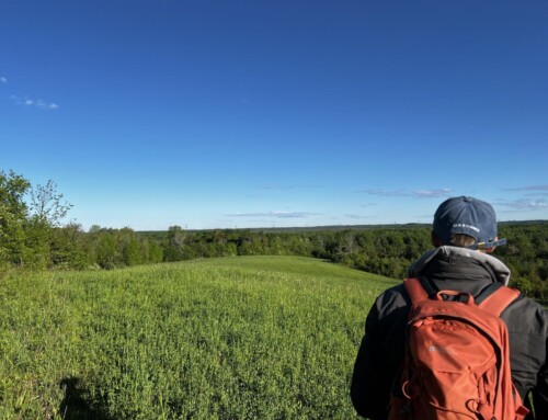 Restoration for the Land and the Soul