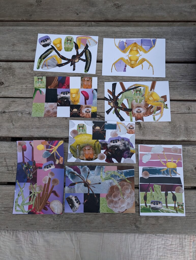 a series of collages made with photos of colourful spiders