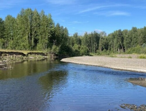 Small Systems are Important for Fish Too